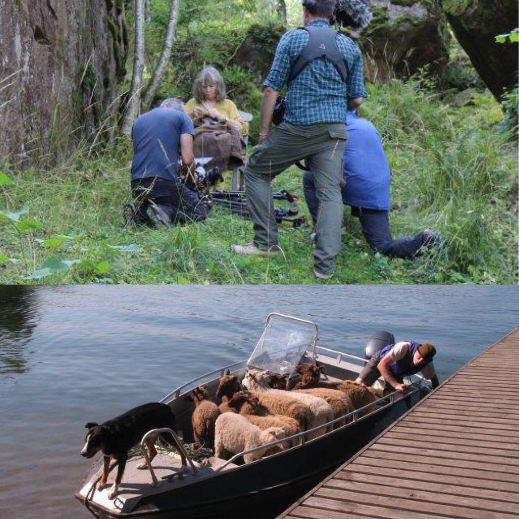 This image has an empty alt attribute; its file name is B412EC72-590D-4DE9-BA8D-9A98BD7B3CDE-3-1024x1024.jpg